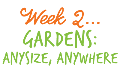 Week 2: Gardens: ANysize, anywhere